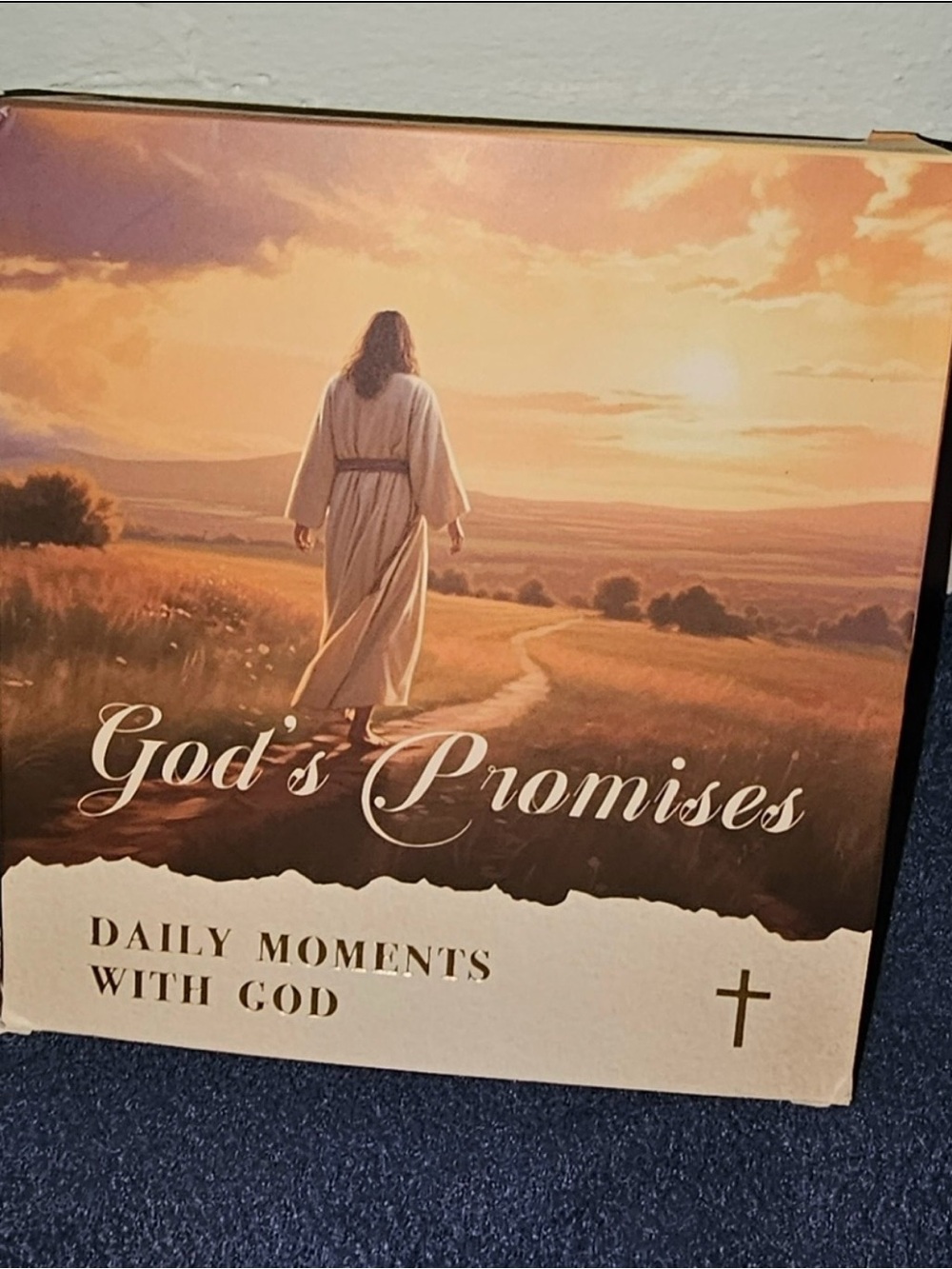 NWOT GOD’S PROMISES DAILY MOMENTS WITH GOD